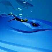 ABZÛ - galeria zdjęć - filmweb