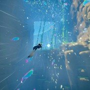 ABZÛ - galeria zdjęć - filmweb