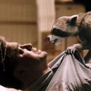 Furry Vengeance - galeria zdjęć - filmweb