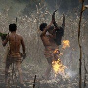 The Rocket - galeria zdjęć - filmweb