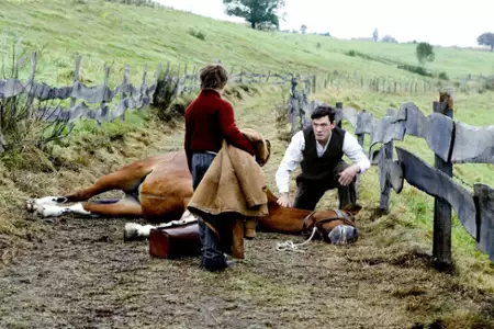 Wolność - galeria zdjęć - filmweb