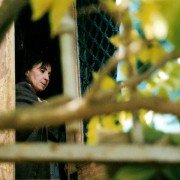 Jedwabna opowieść - galeria zdjęć - filmweb