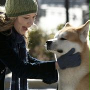 Mój przyjaciel Hachiko - galeria zdjęć - filmweb