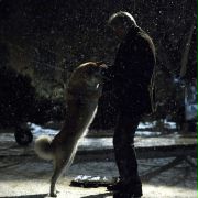 Hachi: A Dog's Tale - galeria zdjęć - filmweb