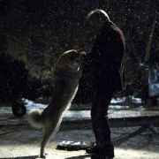 Mój przyjaciel Hachiko - galeria zdjęć - filmweb