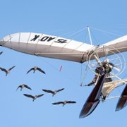 Donne-moi des ailes - galeria zdjęć - filmweb