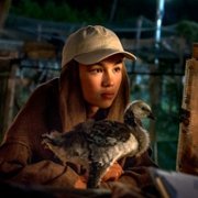 Donne-moi des ailes - galeria zdjęć - filmweb
