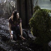 Potwór z bagien - galeria zdjęć - filmweb