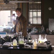 Potwór z bagien - galeria zdjęć - filmweb