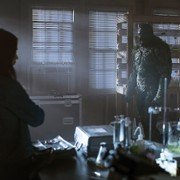 Potwór z bagien - galeria zdjęć - filmweb