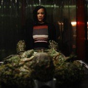 Potwór z bagien - galeria zdjęć - filmweb