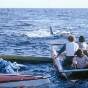 Jaws 2 - galeria zdjęć - filmweb