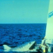Jaws 2 - galeria zdjęć - filmweb