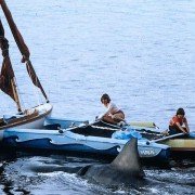 Jaws 2 - galeria zdjęć - filmweb