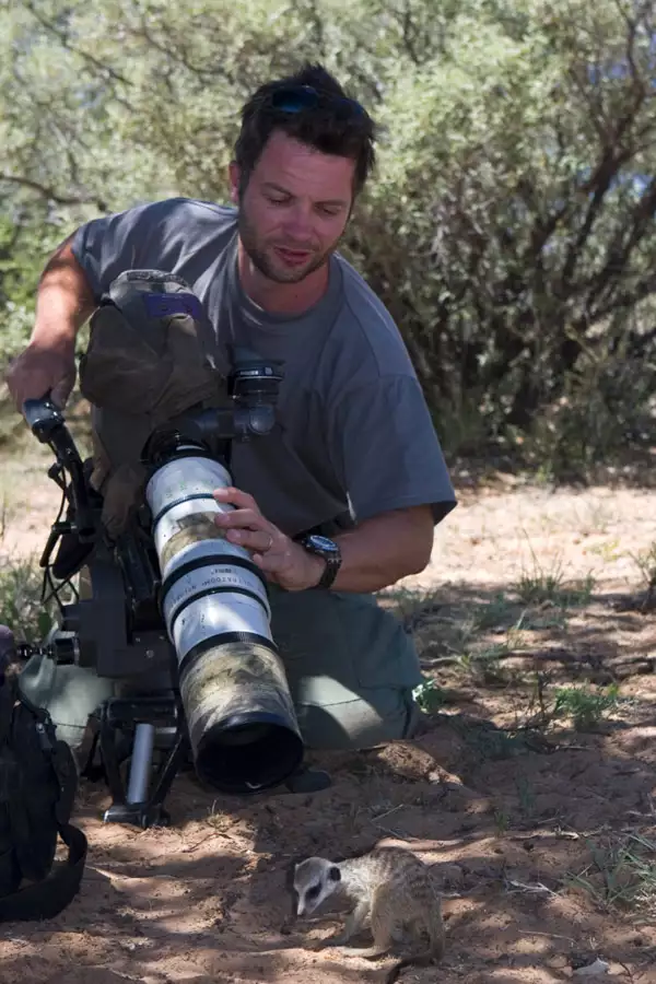 Surykatki - galeria zdjęć - filmweb