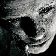 Umbra - galeria zdjęć - filmweb