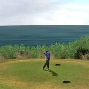 Tiger Woods PGA Tour 07 - galeria zdjęć - filmweb