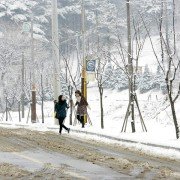 Go-hyang-i: Jook-eum-eul Bo-neun Doo Gae-eui Noon - galeria zdjęć - filmweb