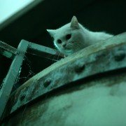 Go-hyang-i: Jook-eum-eul Bo-neun Doo Gae-eui Noon - galeria zdjęć - filmweb