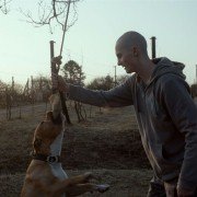 Mój pies Killer - galeria zdjęć - filmweb