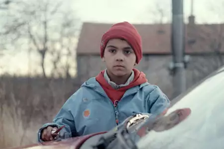 Mój pies Killer - galeria zdjęć - filmweb