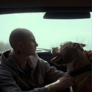Môj pes Killer - galeria zdjęć - filmweb