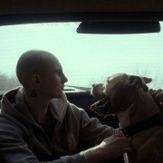 Mój pies Killer - galeria zdjęć - filmweb