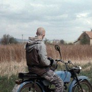 Mój pies Killer - galeria zdjęć - filmweb
