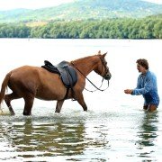 Kincsem - galeria zdjęć - filmweb