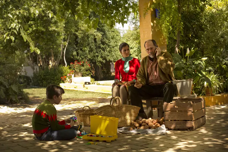 Julieta - galeria zdjęć - filmweb