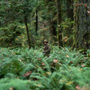Pierwsza krowa - galeria zdjęć - filmweb