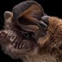 Evolution - galeria zdjęć