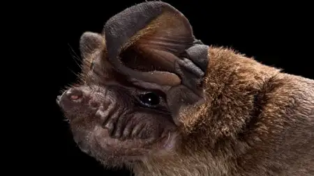 Evolution - galeria zdjęć - filmweb