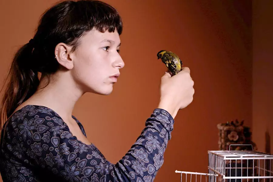 Gniazdo - galeria zdjęć - filmweb