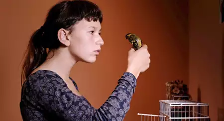 Gniazdo - galeria zdjęć - filmweb
