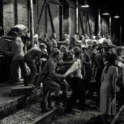 Risttuules - galeria zdjęć - filmweb