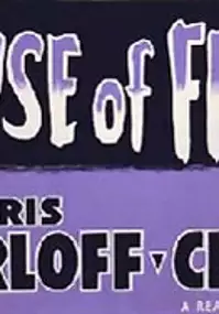 Poster Dom Frankensteina