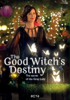 plakat filmu The Good Witch's Destiny