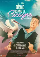 plakat filmu Dove osano le cicogne