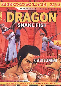 Plakat filmu Dragon's Snakefist