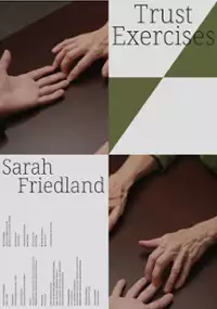 Plakat filmu Trust Exercises