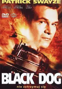 Plakat filmu Czarny pies