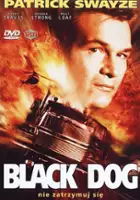 plakat filmu Czarny pies