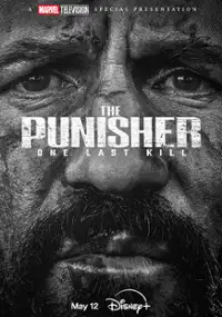 Plakat filmu The Punisher: One Last Kill