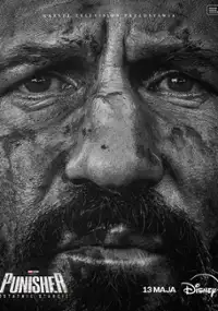 Plakat filmu The Punisher: One Last Kill