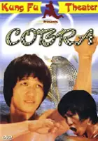 plakat filmu Superfist