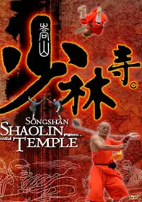 Plakat filmu Songshan Shaolin Temple