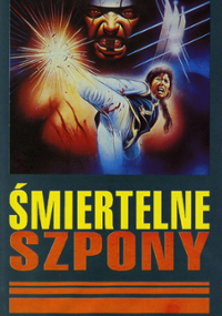 Plakat filmu Shi mei chu ma