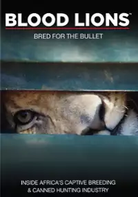 Plakat filmu Blood Lions