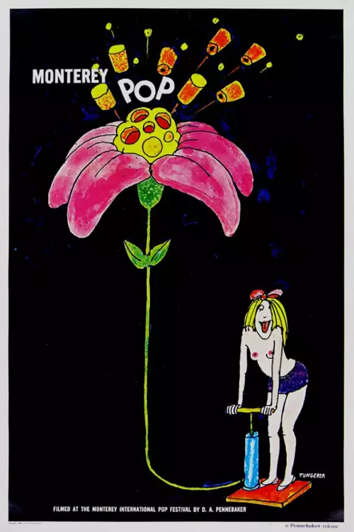 plakat filmu Monterey Pop